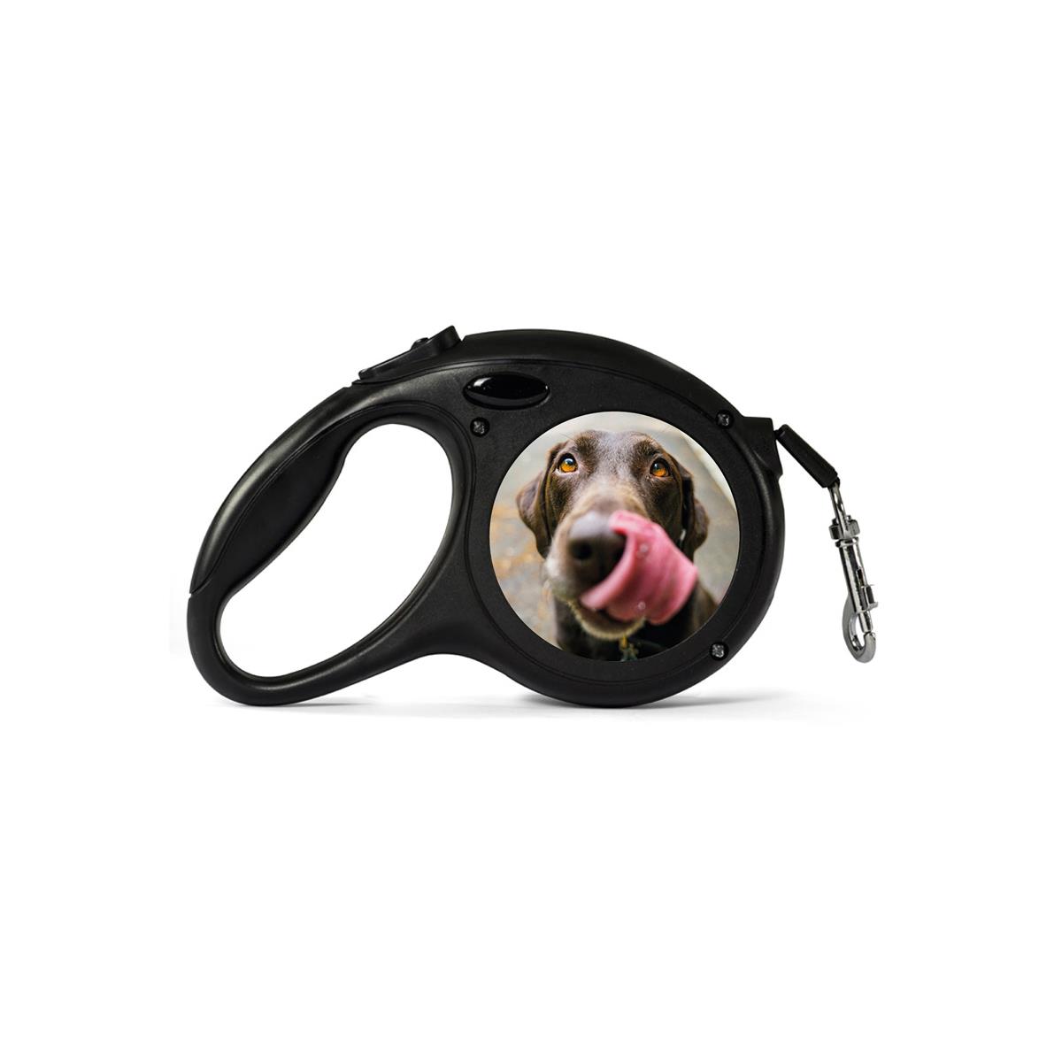 personalised retractable dog lead