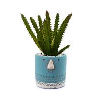 Faux Succulent in Ceramic Jar - Choice of Color