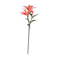 Small Tiger Lily in Pink 