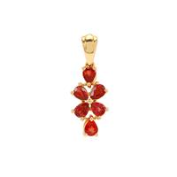 Tanzanian Ruby Pendant in 9K Gold 1.10cts