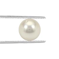South Sea Cultured Pearl 1.9cts