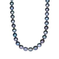 Tahitian Cultured Pearl (8-10mm) Necklace  in Sterling Silver