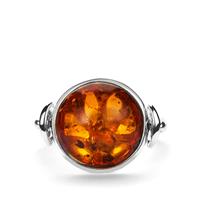 Baltic Cognac Amber Reversible Ring in Sterling Silver (13mm)