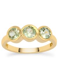 Kijani Garnet Ring in 9K Gold 1.40cts