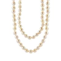 Akoya Cultured Pearl Necklace in Sterling Silver (7.50mm)