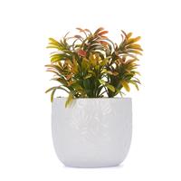 Faux Autumn Fern Succulent in White Ceramic Jar with Rosemary Pattern
