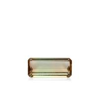 Bi Color Tourmaline 6.25cts