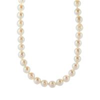 30" Akoya Cultured Pearl Necklace in Sterling Silver (7 x 6mm)