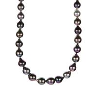 Tahitian Cultured Pearl (8-10mm) Graduated Necklace in Sterling Silver
