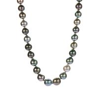 Tahitian Cultured Pearl Gaduated Necklace in Sterling Silver