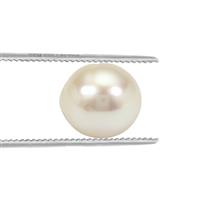  South Sea Cultured Pearl (N)