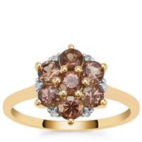  Bekily Colour Change Garnet Ring with Diamond in 9K Gold 1.40cts