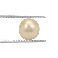 14.85ct Golden South Sea Cultured Pearl (N)