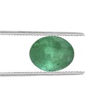 Zambian Emerald 3.1cts