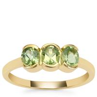 Congo Green Tourmaline Ring in 9K Gold 1.05cts