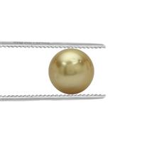 Golden South Sea Cultured Pearl 6.5cts