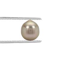 South Sea Cultured Pearl 5.85cts