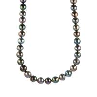 Tahitian Cultured Pearl Graduated Necklace in Gold Tone Sterling Silver