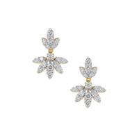 Argyle Diamonds Earrings in 9K Gold 1cts