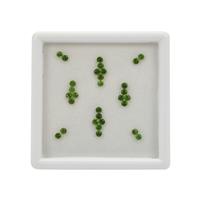1.62ct Chrome Diopside (N) Gem Box