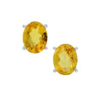 Dominican Amber Earrings in Sterling Silver 1.35cts