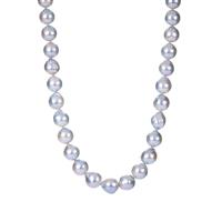 Naturally Silver-Blue Akoya Cultured Pearl Necklace  in Sterling Silver (8 x 7mm)