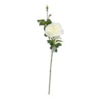 White English Rose Stem with Large Flower and Small Bud 
