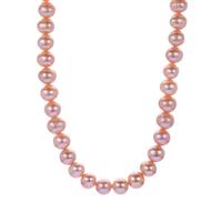 Naturally Papaya Cultured Pearl Necklace in Sterling Silver (8 x 7mm)