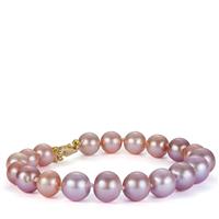 Multi-Colour Freshwater Cultured Pearl Graduated Bracelet in Sterling Silver 