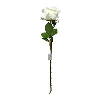 Single White Rose Stem 
