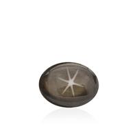 1.80ct Black Star Sapphire (N)