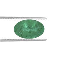 .30ct Zambian Emerald (O)