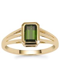 Green Tourmaline Ring in 9K Gold 1.25cts