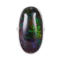 AA Ammolite Ring in Sterling Silver (30x15mm)