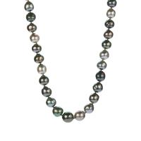 Tahitian Cultured Pearl Graduated Necklace  in Sterling Silver