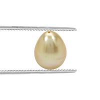 14.90ct Golden South Sea Cultured Pearl (N)
