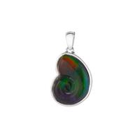 AA Ammolite Pendant in Sterling Silver 4.16cts