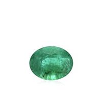 2.37ct Zambian Emerald (O)