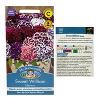 Sweet William Electron Seeds (Av 200 Seeds)