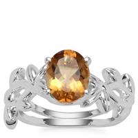 Golden Tanzanian Scapolite Ring in Sterling Silver 1.55cts