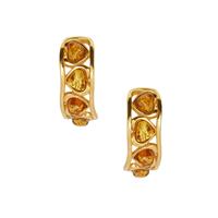 Baltic Cognac Amber Earrings in Gold Tone Sterling Silver