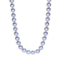Ombre Platinum and White South Sea Cultured Pearl Necklace (8 x 7mm)