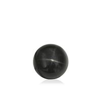 Black Star Diopside 10.62cts
