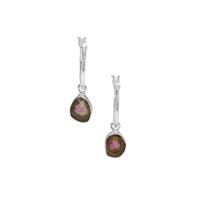 Parti Colour Tourmaline Earrings in Sterling Silver 2.30cts