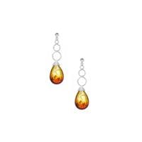 Baltic Ombre Amber (14x21mm) Earrings in Sterling Silver