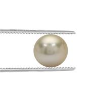 Golden South Sea Cultured Pearl 6.9cts