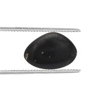 Shungite 12.00cts