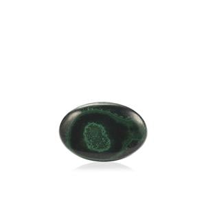 19.60ct Congo Bullseye Malachite (N)