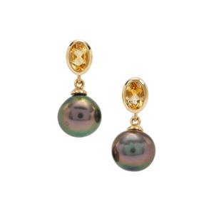 Tahitian Cultured Pearl & Rio Golden Citrine 9K Gold Earrings (9MM)