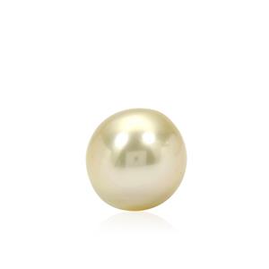  Golden South Sea Cultured Pearl (N) (8mm)